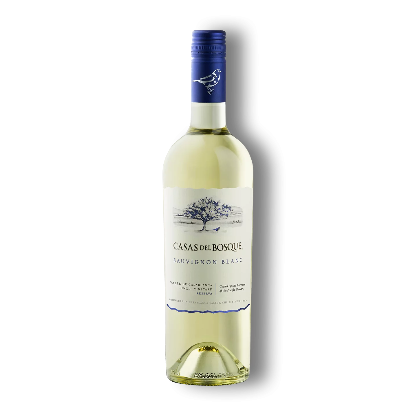 Sauvignon Blanc