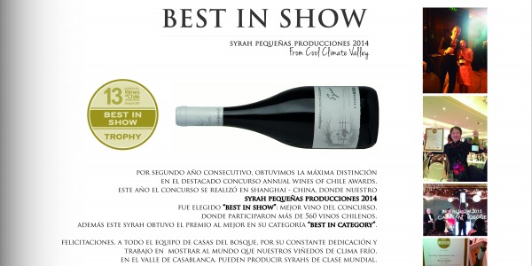 Awoca Best in Show Syrah Pequeñas Producciones 2014