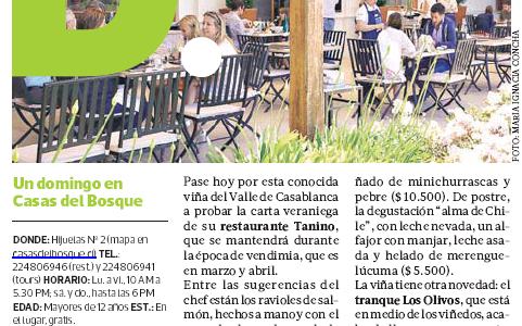 Un domingo en Casas del Bosque