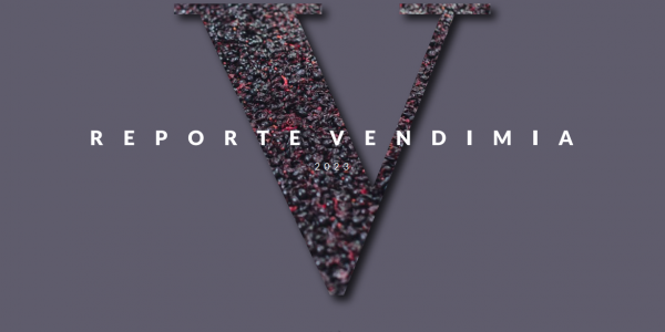 Reporte Vendimia 2023