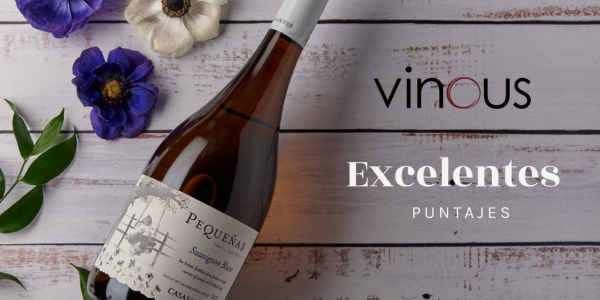 Vinous - Excelentes Puntajes