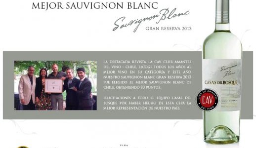 Mesa de Cata Sauvignon Blanc